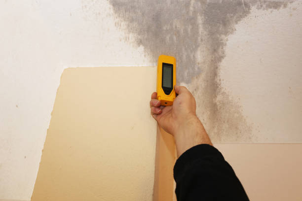 Best Mold Remediation for Healthcare Facilities  in Ventnor City, NJ