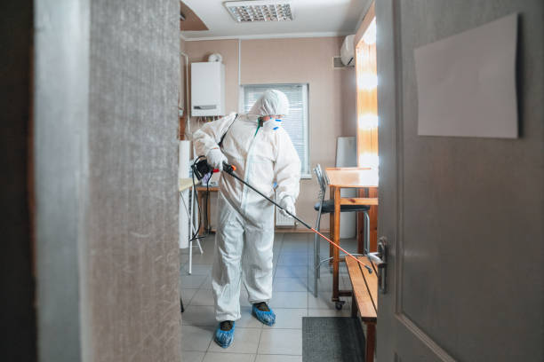 Best Mold Prevention Services  in Ventnor City, NJ