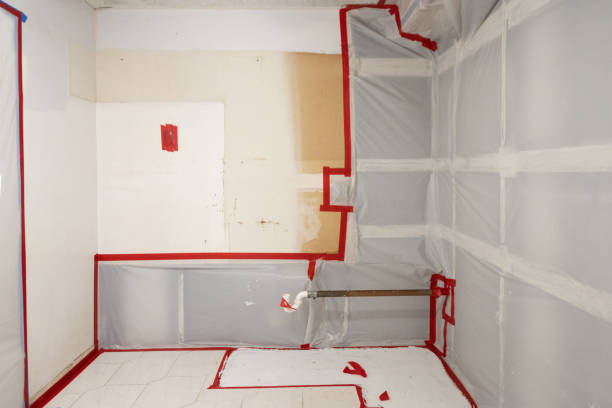 Best Post-Remediation Verification Testing  in Ventnor City, NJ