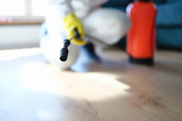  Ventnor City, NJ Mold Removal Pros