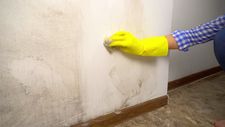Best Industrial Mold Remediation  in Ventnor City, NJ