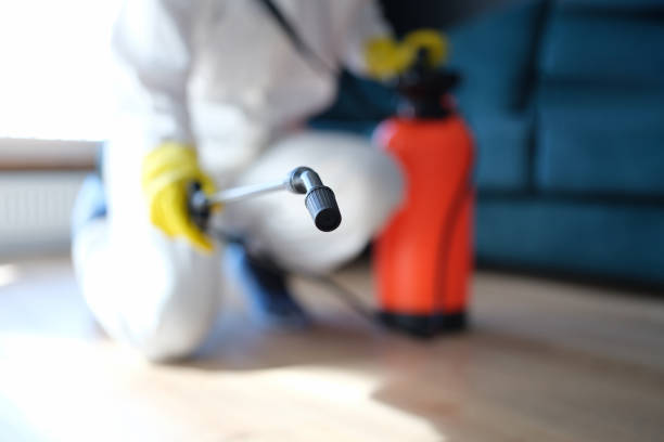 Best Crawl Space Mold Remediation  in Ventnor City, NJ