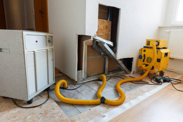 Best Environmental Consulting for Mold Prevention  in Ventnor City, NJ