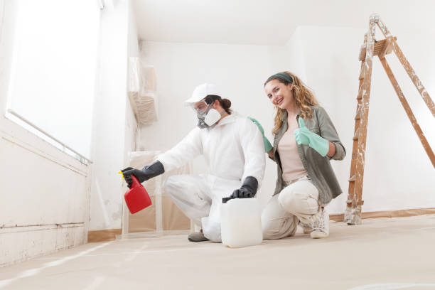 Best Residential Mold Inspection & Testing  in Ventnor City, NJ