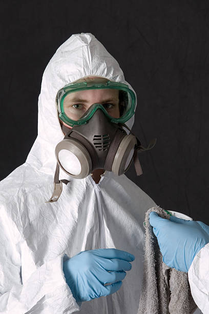 Best Black Mold Removal  in Ventnor City, NJ